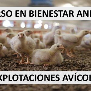 CURSO EN BIENESTAR ANIMAL EN EXPLOTACIONES AVÍCOLAS