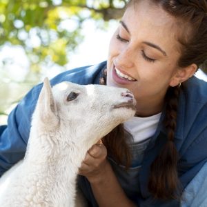 CURSO DE BIENESTAR ANIMAL EN NÚCLEOS ZOOLÓGICOS MODULO ESPECÍFICO FAUNA SILVESTRE
